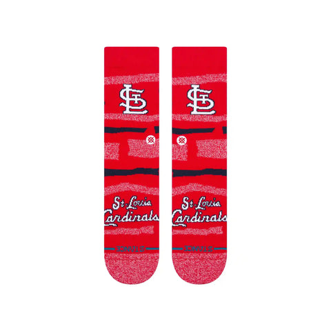 SQUEEZE STL